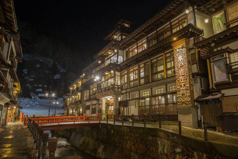 Soak in Serenity: Exploring Japan’s Hot Spring Monkeys amidst the Blooming Springs